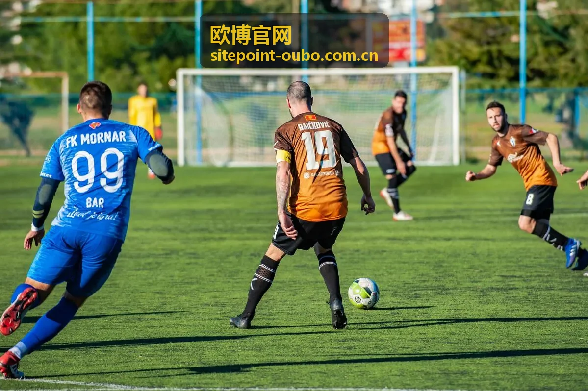 欧博官网商务协作服务体系——专业团队与数据支撑