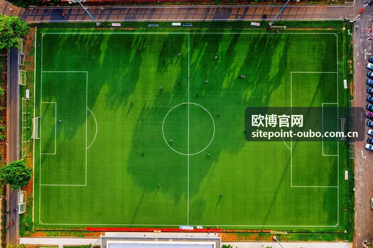 欧博官网业务范围——核心服务矩阵