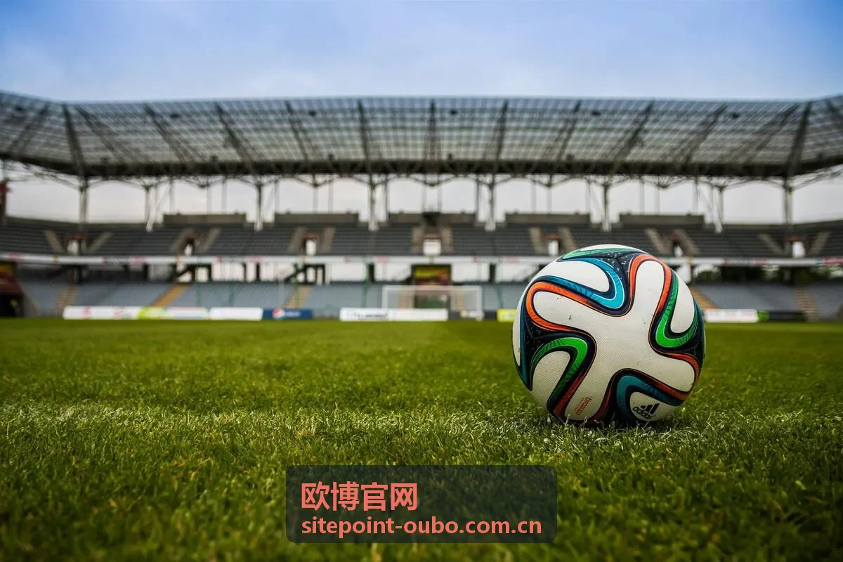 欧博官网项目案例——合作成果展示
